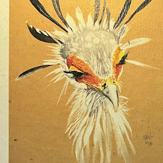Der Kopf eines Sekretärs, der Vogel, vor einem beigen Hintergrund. Illustration.