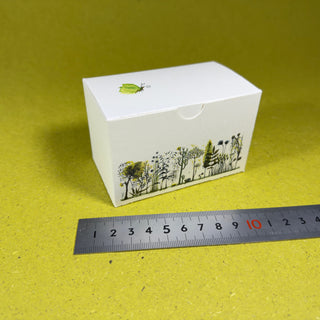 kleine Faltschachtel 9,5 x 5,5 x 6 cm