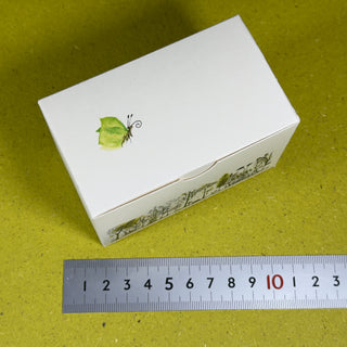 kleine Faltschachtel 9,5 x 5,5 x 6 cm