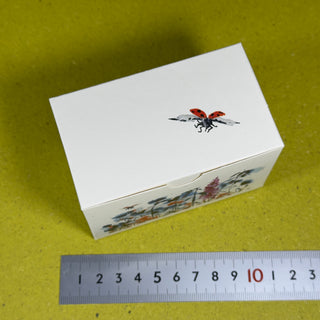 kleine Faltschachtel 9,5 x 5,5 x 6 cm