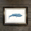 Blauwal (ohne Rahmen)